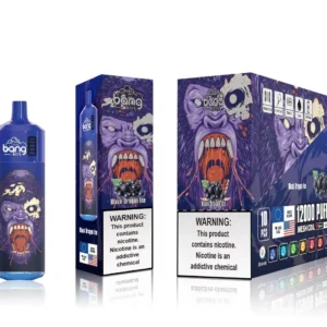 Bang Box 12000 Puffs 0% 2% 3% 5% Nikotin újratölthető eldobható Vape nagykereskedés - HoldVape - 17