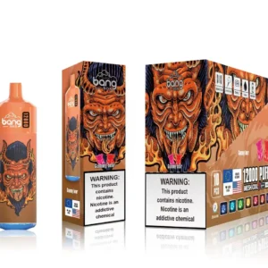 Bang Box 12000 Puffs 0% 2% 3% 5% Nikotin újratölthető eldobható Vape nagykereskedés - HoldVape - 16