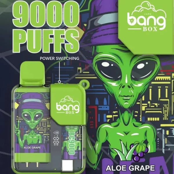 Bang Box 9000 Puffs 0% 2% 3% 5% Nikotin Újratölthető LED Pover Display Eldobható Vape Nagyker - HoldVape - 5