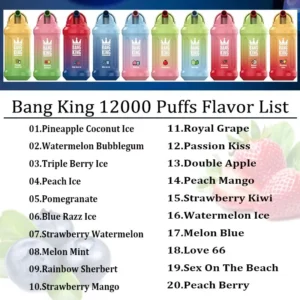 Bang King 12000 Puffs 0% 2% 3% 5% Nikotinová dobíjecí jednorázová vape velkoobchod – HoldVape – 23