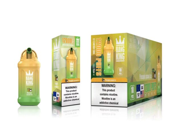 Bang King 12000 Puffs 0% 2% 3% 5% Nikotinová dobíjecí jednorázová vape velkoobchod – HoldVape – 18