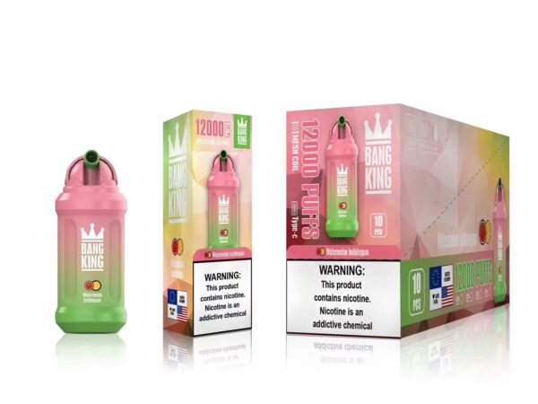 Bang King 12000 Puffs 0% 2% 3% 5% Nikotinová dobíjecí jednorázová vape velkoobchod – HoldVape – 19