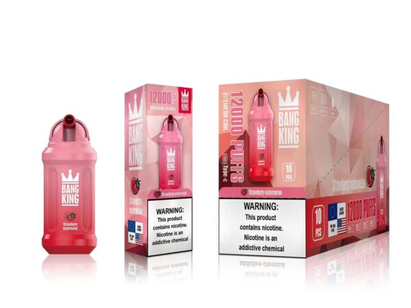 Bang King 12000 Puffs 0% 2% 3% 5% Nikotinová dobíjecí jednorázová vape velkoobchod – HoldVape – 20