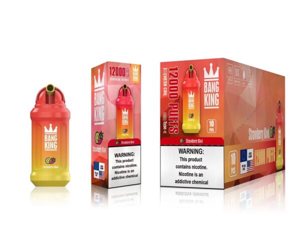 Bang King 12000 Puffs 0% 2% 3% 5% Nikotinový dobíjecí jednorázový vape velkoobchod – HoldVape – 9
