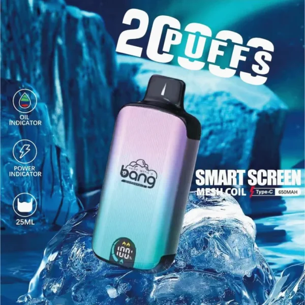 Bang Vape 20000 Puffs Dual Mesh 0% 2% 3% 5% Display LED com baixo teor de nicotina Recarregável em massa Compre Caneta Vape Descartável no atacado - HoldVape - 1