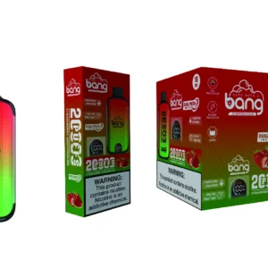 Bang Vape 20000 Puffs Dual Mesh 0% 2% 3% 5% Display LED com baixo teor de nicotina Recarregável em massa Compre Caneta Vape Descartável Atacado - HoldVape - 19