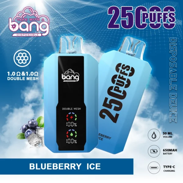 Bang 25000 Puffs 0% 2% 3% 5% Alacsony nikotin tartalmú újratölthető eldobható Vapes toll tömeges vásárlás nagykereskedelem - HoldVape - 1