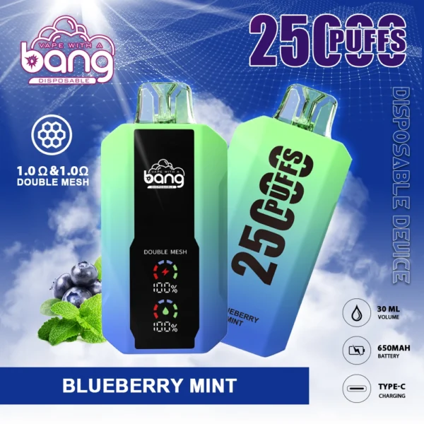 Bang 25000 Puffs 0% 2% 3% 5% Alacsony nikotin tartalmú újratölthető eldobható Vapes toll tömeges vásárlás nagykereskedelem - HoldVape - 11
