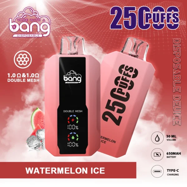 Bang 25000 Puffs 0% 2% 3% 5% Alacsony nikotin tartalmú újratölthető eldobható Vapes toll Tömeges vásárlás Nagyker - HoldVape - 5