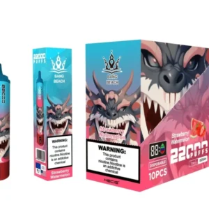 Bang Beach 22000 Puffs 0% 2% 3% 5% Alacsony nikotintartalmú újratölthető tömeges vásárlás Eldobható Vape Pen nagykereskedés - HoldVape - 13