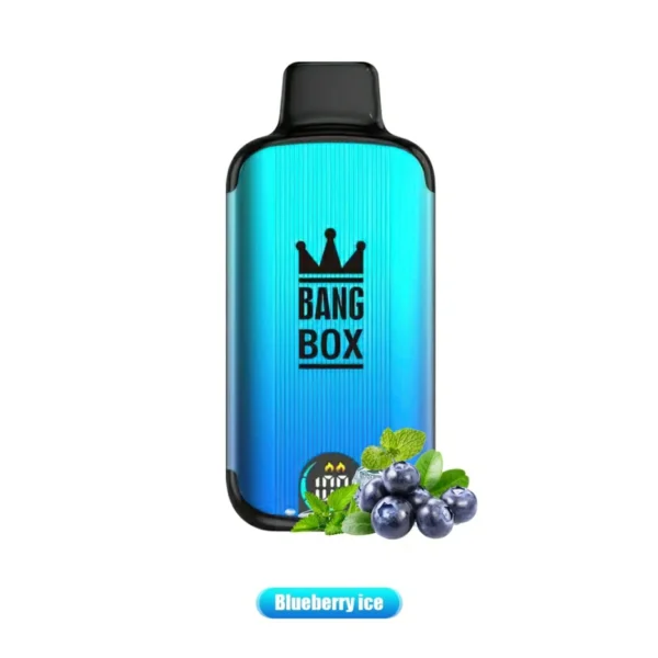 Bang Box 18000 Puffs Écran d'affichage LED 0% 2% 3% 5% Faible teneur en nicotine en vrac Acheter un stylo vape jetable rechargeable en gros - HoldVape - 2