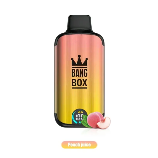 Bang Box 18000 Puffs Écran d'affichage LED 0% 2% 3% 5% Faible teneur en nicotine en vrac Acheter un stylo vape jetable rechargeable en gros - HoldVape - 7